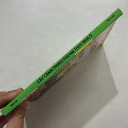 Cây cảnh trong phong thủy nhà ở 764640