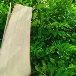 Đại cương triết học Trung Quốc  1032068