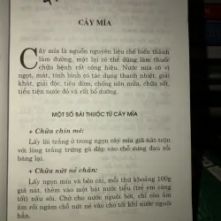 Thuốc quý vườn nhà bạn - Chữa bệnh bằng cây thuốc nam - Mai Hoa 936884