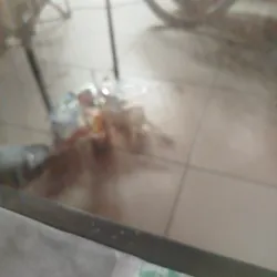 Vàng bạc châu báu 589227