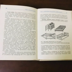 Thu thập và chế biến nấm  474048