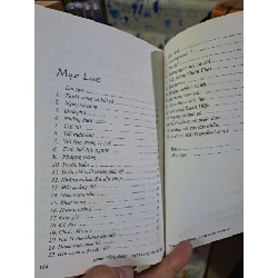 Tuyệt vọng và bất tư Pham Hồng Danh mới 80% ố 2012 Văn học Việt Nam HCM1809 923696