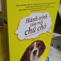 hành trình của một chú chó