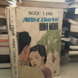 Mưa trong bình minh