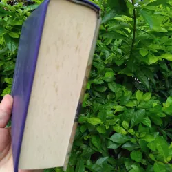 Khu rừng tập kịch của Aleksamdr Ostrovski 995501