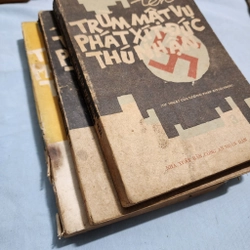 Tên trùm mật vụ phát xít Đức thú nhận | 3 tập 479325