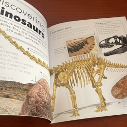 PICTURE BOOK Fossils 536679