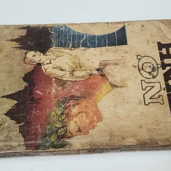 NỢ TÌNH (Hồ Biểu Chánh) 790414