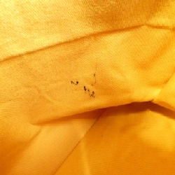 Goyard SAINT LUCIE AMA LUCIE Túi - Hàng hiệu Chính hãng 766149