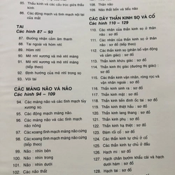 3. ATLAS GIẢI PHẪU NGƯỜI  470951