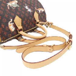 Túi xách Boston Louis Vuitton Catgram Speedy Bandoulière 30cm M44401 615004