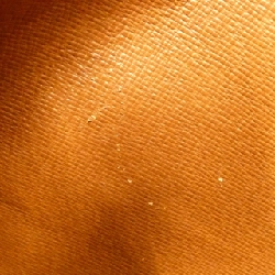 Túi Louis Vuitton Monogram Papillon 30cm M51385 616122