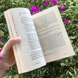 Xuyên Mỹ - Bất hạnh là một tài sản Phan Việt 639677