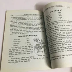 PHÒNG TRỊ BỆNH BẰNG MÓN ĂN HẰNG NGÀY  759257