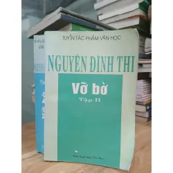 Vỡ bờ (Tập II) — Nguyễn Đình Thi