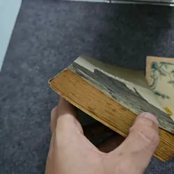 Moon palace - Paul auster 740853