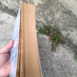 Cách mạng, kháng chiến và đời sống văn học 1945 - 1954 1019195