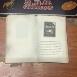 STORA SKRACKENS GRAND VAMPYRENS HOGGTAND- TOMMYDONBAVAND 674765