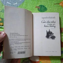 Con chó nhỏ mang giỏ hoa hồng 1037103