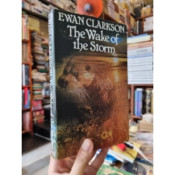 THE WAKE OF THE STORM - Ewan Clarkson