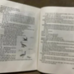 Văn học Việt Nam : Ngâm khúc  1022292