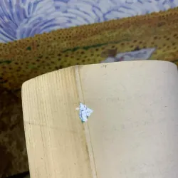 Lịch Sử Thế Giới Cổ Đại 699373