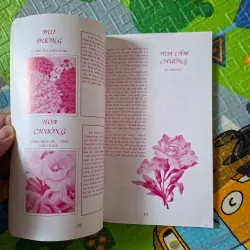 Ngôn Ngữ Các Loài Hoa 1025637