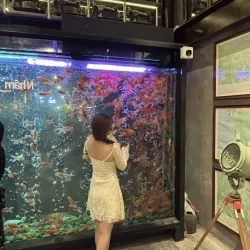 Đầm đi tiệc, dạo phố size S , màu kem. Mặc 1 lần còn mới 974266