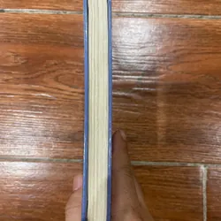 Đất rừng phương Nam (9) 558137
