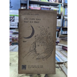Bầu trời thơ hạt bụi thơ - Nguyễn Thái Dương