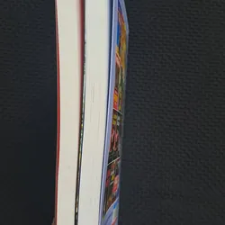 Combo Trà Hoa Nữ + Hoa Tuylip Đen - Alexandre Dumas 595458