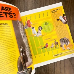 ✨𝑬𝒗𝒆𝒓𝒚𝒕𝒉𝒊𝒏𝒈 𝑷𝒆𝒕𝒔✨ 701627