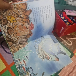 Sách học tiếng Hàn bìa cứng In màu như hình  418791