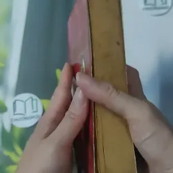 [XƯA] The Wedding Gamble (1996) - Cait Logan 1027251