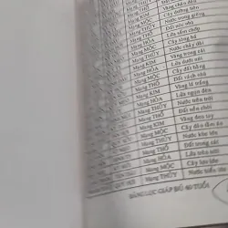 Căn Duyên Tiền Định 727287