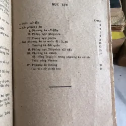 Đòn tra tấn - Lê Trung Dũng  1006404