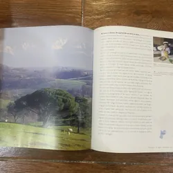 Culinaria France: A Celebration of Food and Tradition 727193