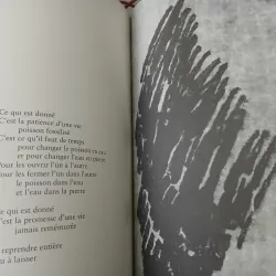 QUAND LES PIERRES FONT SIGNE (KHI ĐÁ BÁO HIỆU) -  FRANÇOIS CHENG, FABIENNE VERDIER 752672