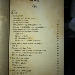 Tâm kim cương - Tâm lý học của việc hành thiền - Rob Nairn 781566