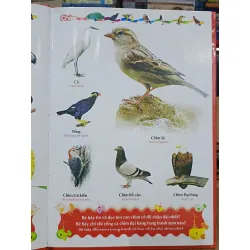 Từ điển tranh về các con vật - Minh Long 693420