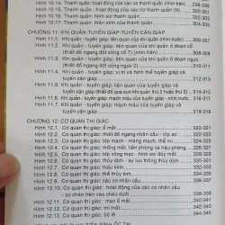 GIẢI PHẪU ĐẦU MẶT CO 752816