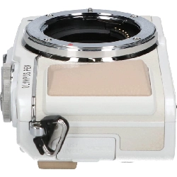 Ｅ－ＰＬ７ - Hàng hiệu Authentic 880520