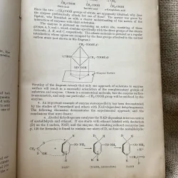 Biochemistry: a brief course- hóa sinh - sách y - Abraham Mazur, Ph.D.- 1968-  996336