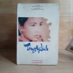 Tống Mỹ Linh (Những Năm 1987 - 1991)