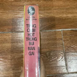 Tiếng chim hót trong bụi mận gai (12) 1039774