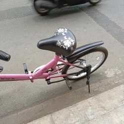 Xe đạp gấp 443744