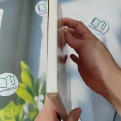 [MIỄN PHÍ BỌC SÁCH] Tả Quân Lê Văn Duyệt - Trần Văn Sung 970248