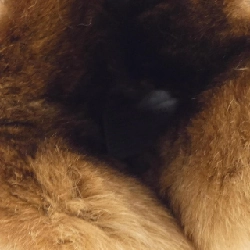 GĂNG TAY Max Mara - Hàng hiệu Chính hãng 833062