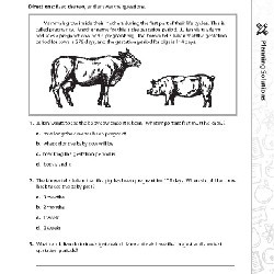 Sách Tiếng Anh - 180 Days of Science – Full 7 cuốn -  mới 56825