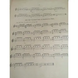 Tự học tây ban cầm phương pháp flamenco - Lan Đài và Y Vân